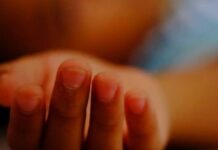 கொழும்பில் வேன் மோதி 5 வயது சிறுவன் உயிரிழப்பு.!