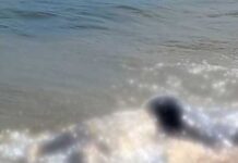 கடற்படையினரை கண்டதும் தப்பியோடிய நபர் நீரில் மூழ்கி உயிரிழப்பு.!