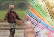 விவசாய ஓய்வூதியம் பெறுவதற்கான கால அவகாசம் நீடிப்பு.!