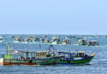 நெடுந்தீவு கடற்பரப்பில் 12 இந்திய மீனவர்கள் கைது..!