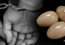 30 கோடி ரூபாய் பெறுமதியான கஜமுத்துக்களுடன் ஒருவர் கைது..!