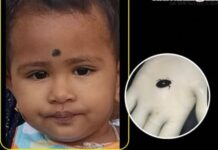 வீட்டில் விளையாடிக்கொண்டிருந்த ஒரு வயது குழந்தைக்கு நேர்ந்த சோகம்.!