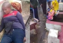 உண்டியலை உடைத்து திருடிய பெண்ணுக்கு விளக்கமறியல்..! Video