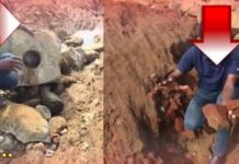 முல்லைத்தீவு – முத்தையன்கட்டுக்குளம் தொல்பொருள் திணைக்களத்தால் அடையாளப்படுத்தல்.!